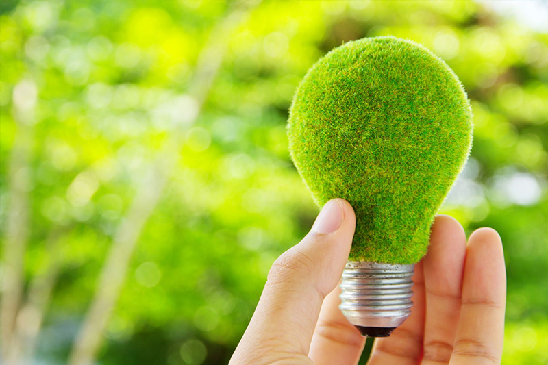 green light bulb image